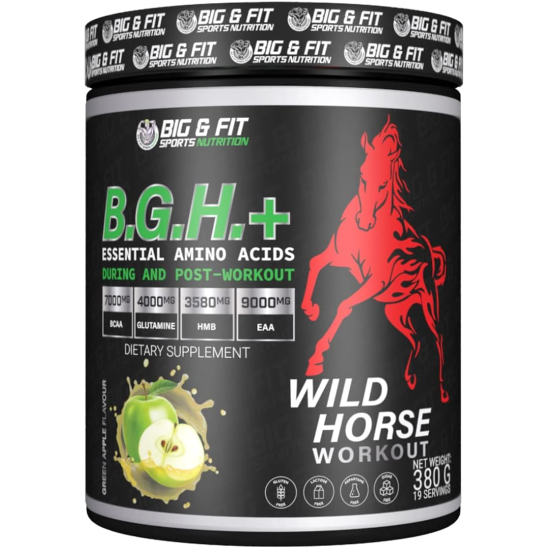 BGH 380G